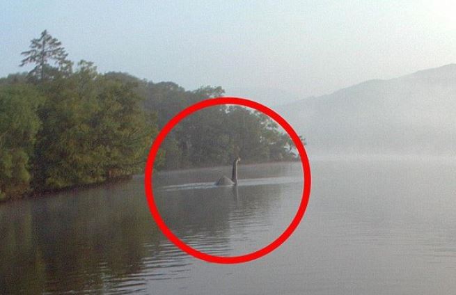 Trung tâm nghiên cứu quái vật hồ Loch Ness tuyển dụng thợ săn Nessie toàn thời gian và mức lương khiến nhiều người sốc tột độ