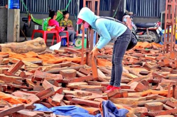 Khu chợ duy nhất Việt Nam bán gỗ quý 'tiền tỷ' theo cân, hàng hiếm đổ đống, người dân ùn ùn kéo tới