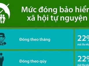 Đóng bảo hiểm xã hội tự nguyện ở đâu? Đóng theo mức lương nào thì phù hợp?