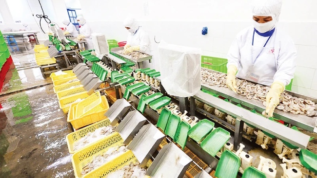 Lối đi nào cho doanh nghiệp trước những điều chỉnh chính sách lớn của EU? 