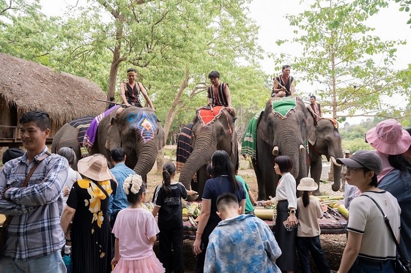 Du lịch thân thiện với voi: Hướng đến lợi ích lâu dài và bền vững