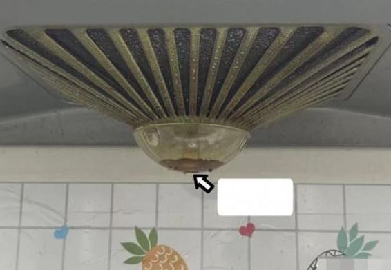 Chớ vội vứt dầu thải từ máy hút mùi, hướng dẫn bạn mẹo này giúp tiết kiệm và tái sử dụng hiệu quả