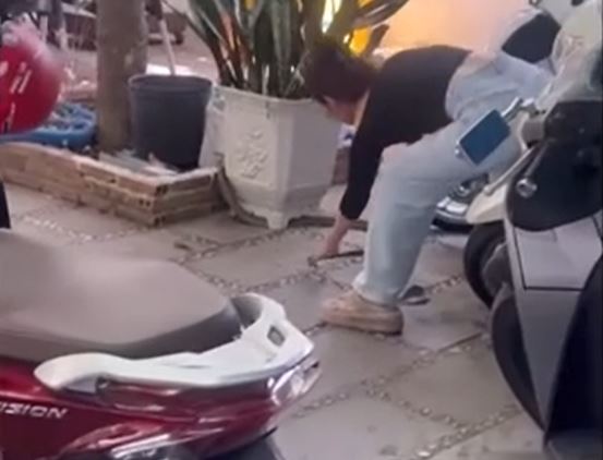 CLIP: Cô gái tay không bắt rắn 'khủng' ở Hậu Giang và cái kết khiến người xem 'thót tim'