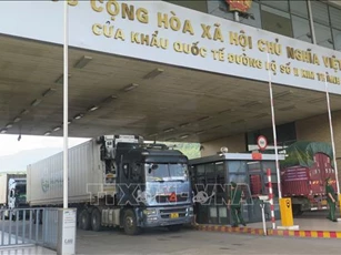 Ngành hải quan cải cách hành chính chống thất thu ngân sách