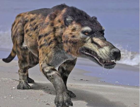 9 loài động vật hiện đại trông khác hẳn tổ tiên của chúng