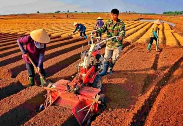 Trường hợp nào được giao đất không thu tiền sử dụng đất từ năm 2025? Người dân nên biết tránh mất quyền lợi