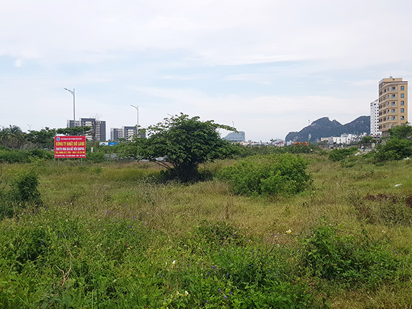 Đà Nẵng: Sức cầu phân khúc đất nền vẫn còn ở mức thấp