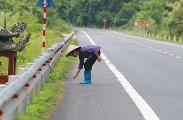 Kiêng kỵ nhặt những thứ này ngoài đường và mang về nhà, không phạm phải có thể bị xui xẻo, tán lộc