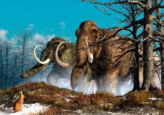 Thợ săn hươu tình cờ phát hiện ngà voi ma mút siêu quý hiếm