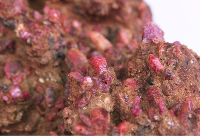 Đang đi dạo trên bờ biển, người đàn ông bất ngờ 'đổi đời' sau khi đụng trúng 'kho báu' hàng chục tỷ đồng