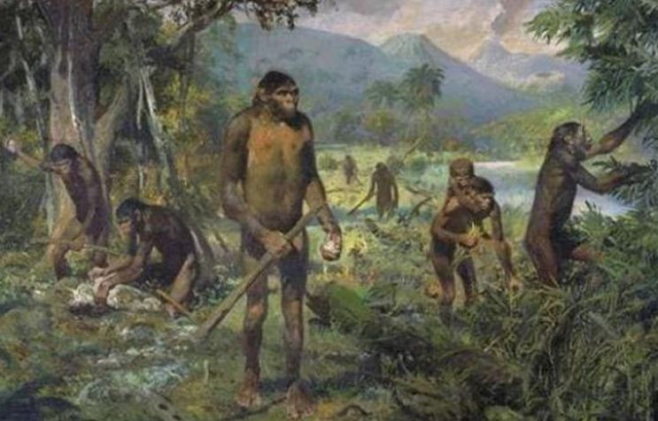 Vì sao con người 'bị mất đuôi' sau quá trình tiến hóa?