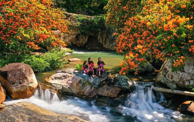 Những cụm hoa trang với sắc đỏ, vàng, cam rực rỡ được trưng bày khắp khu vực, tạo nên một bức tranh thiên nhiên sống động. 