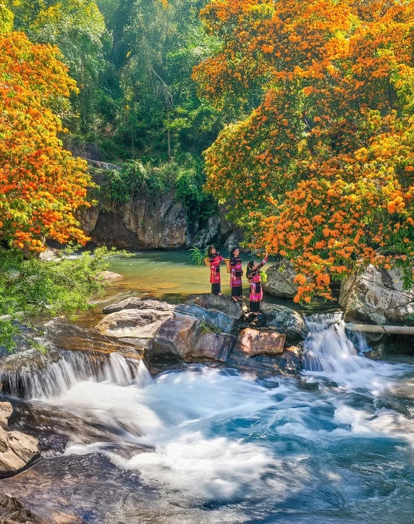 Hoa trang nhuộm thắm suối Tà Má. Ảnh: Dũng Nhân. 