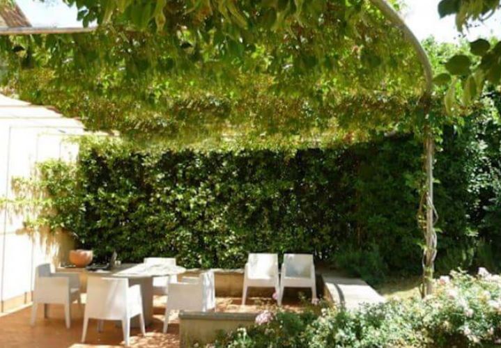 Mẹo giúp nhà mát lâu mà chẳng cần dùng tới máy lạnh, học ngay hôm nay để tiết kiệm tiền cho gia đình