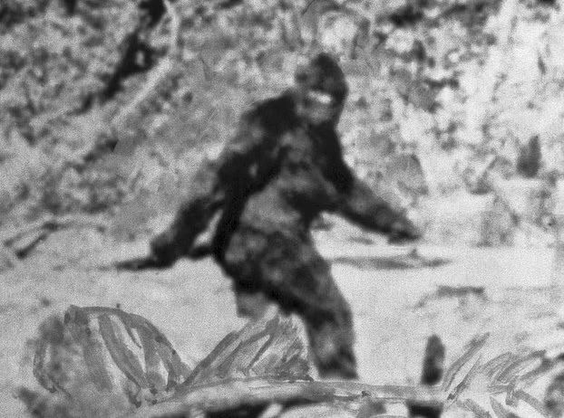 Hé lộ bí ẩn rợn người về “Tam giác quỷ” nước Mỹ: Bigfoot, UFO và màu sắc bị cấm kỵ