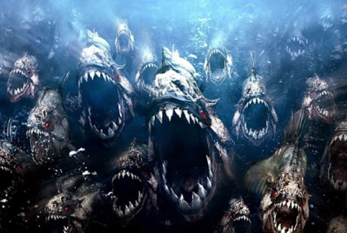 10 'sát thủ' đáng sợ nhất trong rừng mưa nhiệt đới Amazon, có loài chỉ cần chạm vào là tử vong