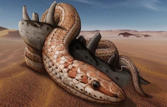 Bí ẩn về tổ tiên loài rắn, từ động vật dưới nước tới trên cạn