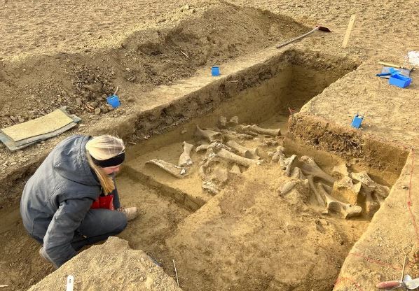 Xương voi ma mút 25.000 năm tuổi tiết lộ bí ẩn về con người thời kỳ băng hà