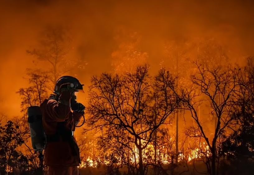 Trái Đất có thể nóng lên 7°C vào năm 2200: Thảm họa lũ lụt, nạn đói và nắng nóng kỷ lục đang chực chờ