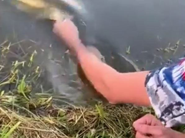 CLIP: Mãn nhãn trước khoảnh khắc người đàn ông dùng tay không câu cá