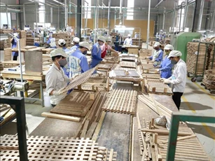 Kinh tế tư nhân - trụ cột mới của nền kinh tế Việt Nam trong kỷ nguyên phát triển