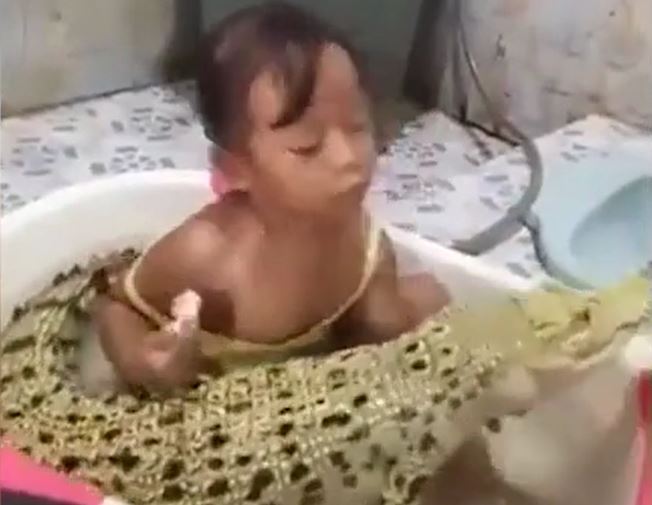 CLIP: Rùng mình trước khoảnh khắc bé gái chà răng cho cá sấu
