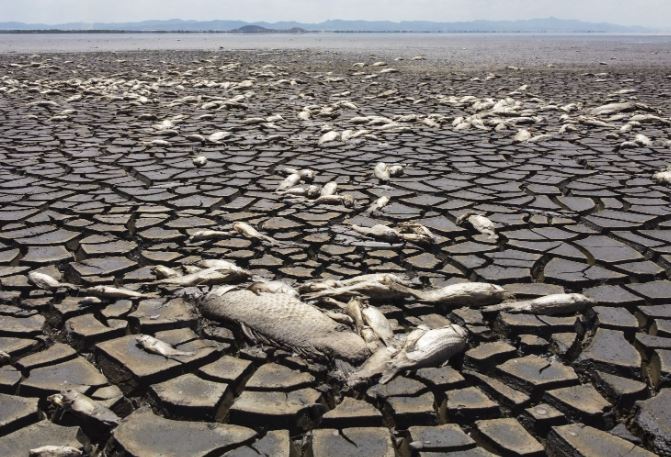 Trái Đất có thể nóng lên tới 7°C vào năm 2200