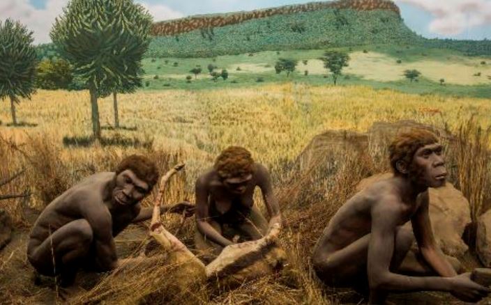 Hành trình 35 triệu năm: Con người đã học nói như thế nào?