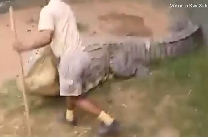 CLIP: Người đàn ông bị cá sấu khổng lồ tấn công và cái kết khó tin