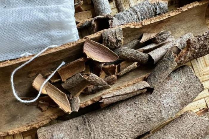 Mẹo đuổi gián cực kỳ hiệu quả từ nguyên liệu tự nhiên – thơm mát, rẻ tiền, an toàn tuyệt đối