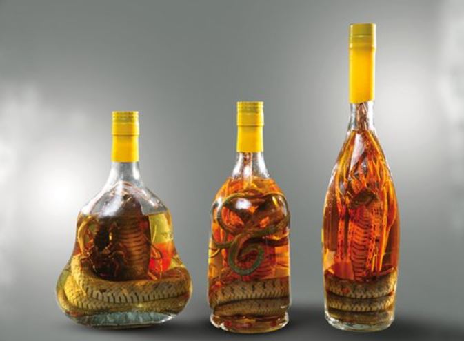 Giải mã nguyên nhân rắn đã ngậm rượu cả năm vẫn lao ra tấn công người khi mở nắp