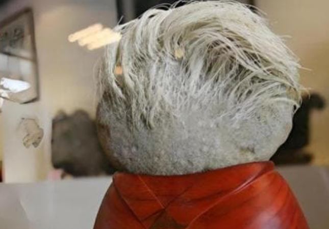 Ông lão nhặt được viên đá mọc 'tóc trắng', sau đó phải lập tức phong tỏa toàn bộ ngôi làng, vì sao?