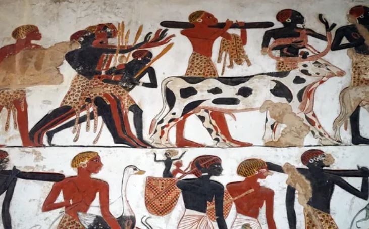 Ngôi mộ 4.000 năm tuổi của một phụ nữ quý tộc cùng với quạt lông đà điểu hé lộ bằng chứng lâu đời nhất về dây đeo đầu