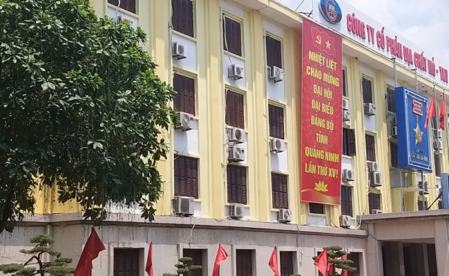 Lợi nhuận sụt giảm mạnh, MGC tăng trần 5 phiên giữa lúc hàng loạt cổ phiếu nằm sàn 