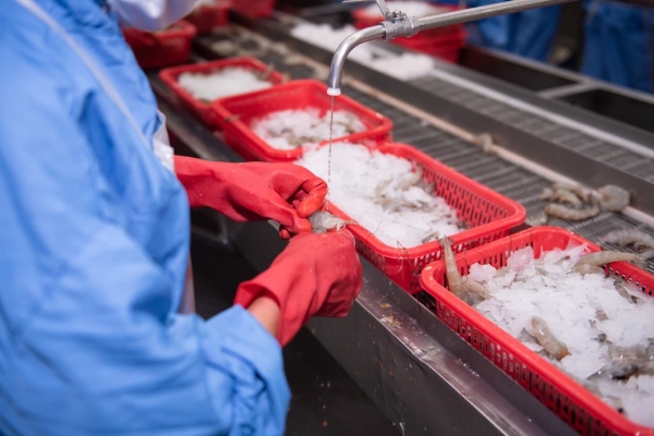 VASEP: Doanh nghiệp xuất khẩu tôm không thể cạnh tranh nếu Mỹ giữ mức thuế 46%