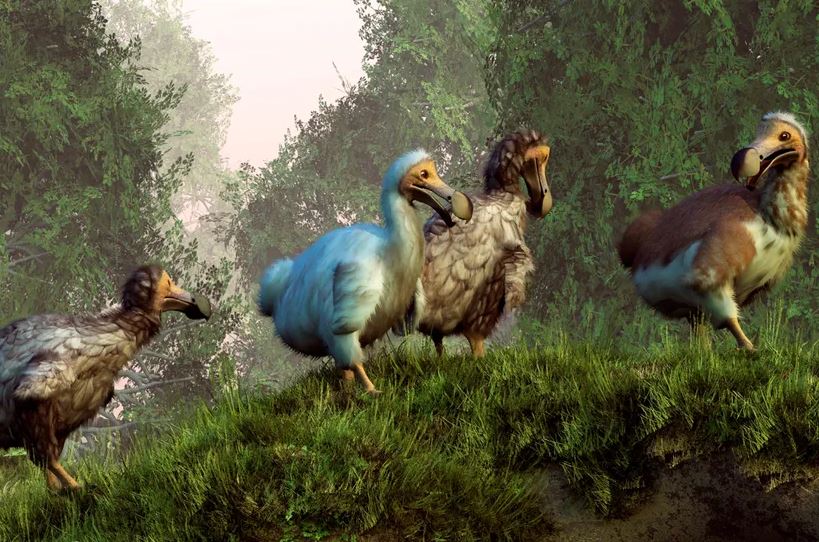 Hồi sinh kỳ diệu: 6 loài động vật đã tuyệt chủng có thể được 'tái sinh' và 1 loài đã 'sống lại từ cõi chết'