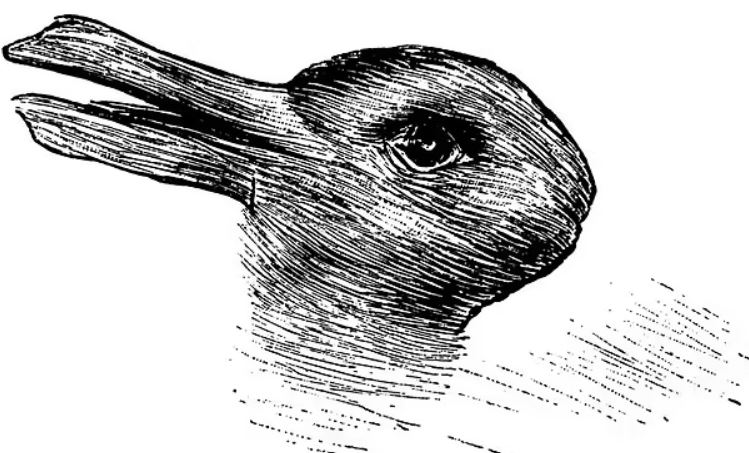 Nhìn thấy thỏ hay vịt? Ảo ảnh thị giác nổi tiếng tiết lộ điều gì về bạn?