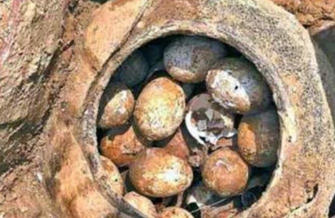 Nh&#x1EEF;ng qu&#x1EA3; tr&#x1EE9;ng k&#x1EF3; l&#x1EA1; trong m&#x1ED9; c&#x1ED5; v&#xE0; t&#x1EA1;i sao kh&#xF4;ng n&#xEA;n ch&#x1EA1;m v&#xE0;o ch&#xFA;ng?