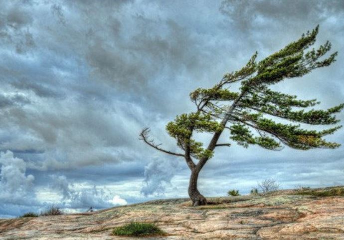 Tại sao lại có gió?
