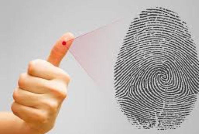 Vì sao dấu vân tay của mỗi người lại không ai giống ai?