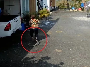 CLIP: Bị rắn tấn công bất ngờ khi đang đi trong sân, người phụ nữ  la hét hoảng sợ