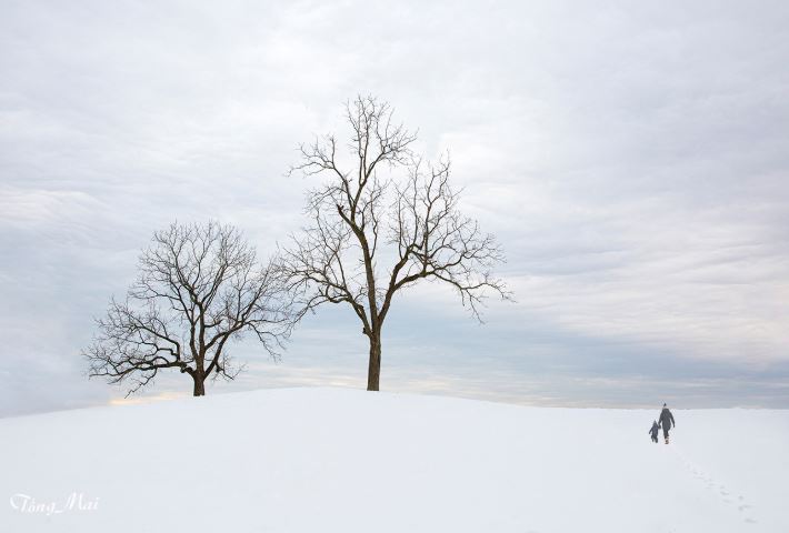 Vì sao tuyết có màu trắng?