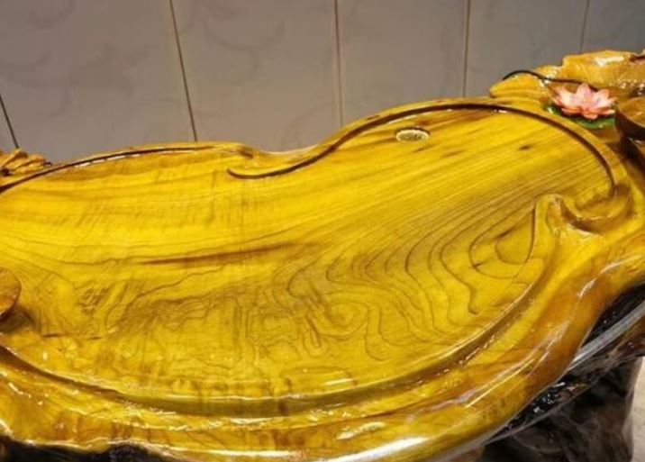 Đây là loại gỗ quý hơn vàng, được mệnh danh là 'báu vật trong rừng,' có giá 9.000 tỷ đồng