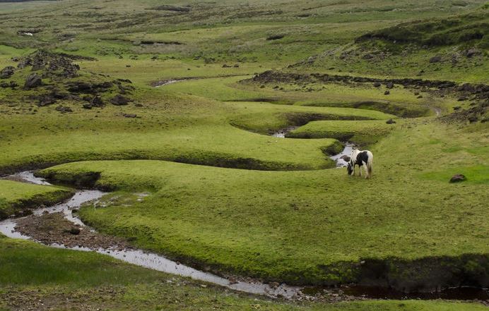 Chiêm ngưỡng con sông kỳ lạ nhất thế giới: Có chỗ rộng chưa đến 4 cm, cá lớn bơi qua cũng… mắc kẹt