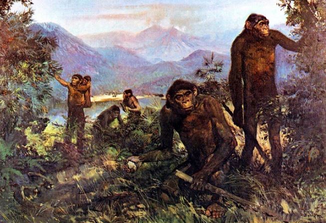 Từ một thảm họa thiên nhiên tưởng chừng hủy diệt, loài người đã viết nên câu chuyện tiến hóa kỳ diệu nhờ một chiến lược tưởng chừng đơn giản