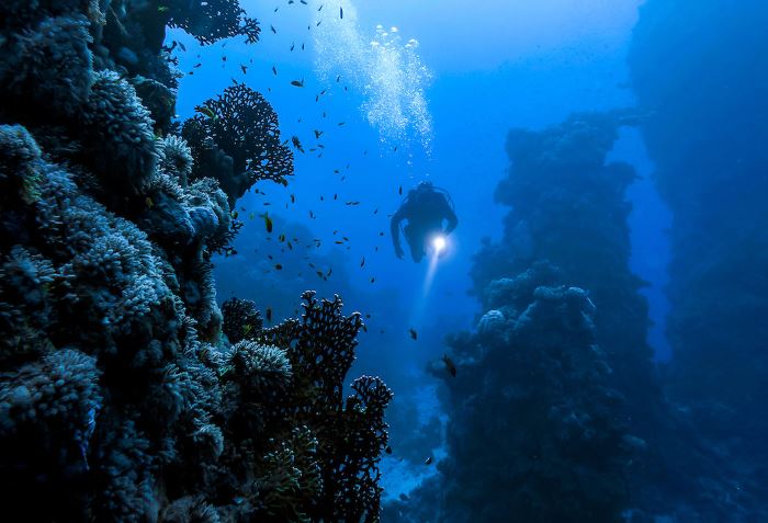 Rãnh Mariana và cuộc tìm kiếm sự sống ngoài Trái Đất