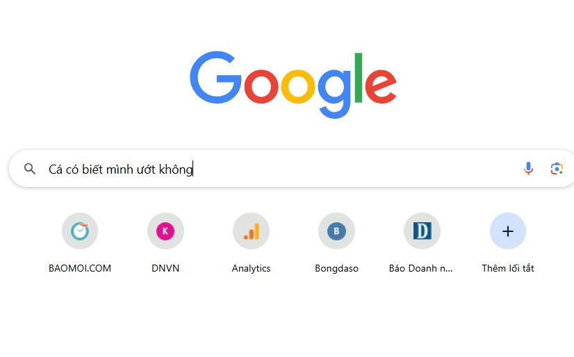 Phì cười trước những câu hỏi ngây ngô người ta thường tìm kiếm trên Google