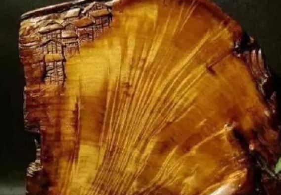 Bất ngờ đào được "bảo vật" trong góc bếp: Chiếc thớt cũ trăm năm giúp chàng trai đổi đời sau một đêm