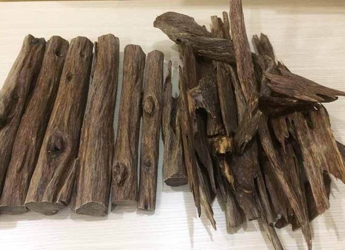 Đây là loại gỗ giá 2,3 tỷ đồng/kg, Việt Nam cũng có, được mệnh danh là 'gỗ của các vị thần'