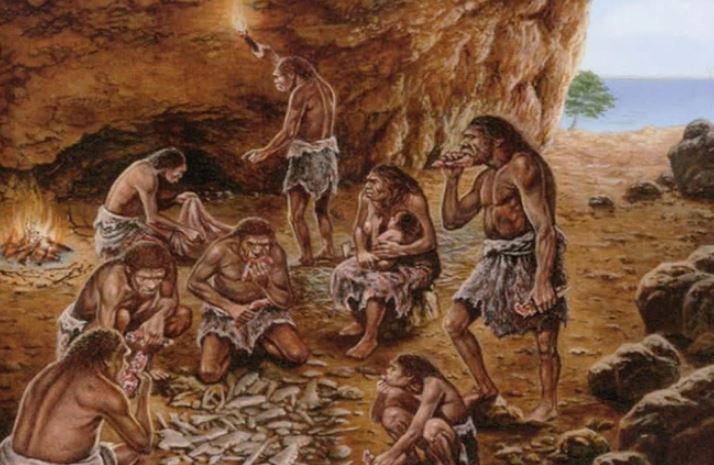 Nguyên nhân nào giúp vượn cổ có thể tiến hóa thành con người?